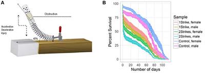 Smooth, an hnRNP-L Homolog, Might Decrease Mitochondrial Metabolism by Post-Transcriptional Regulation of Isocitrate Dehydrogenase (Idh) and Other Metabolic Genes in the Sub-Acute Phase of Traumatic Brain Injury